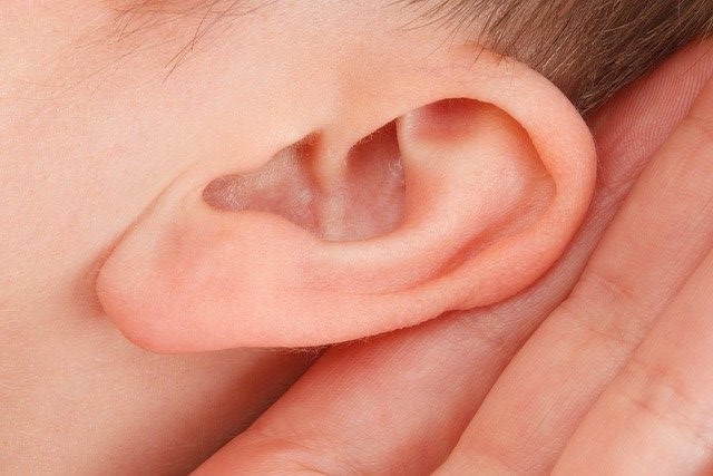 Symbolbild Verständlichkeit - Menschliches Ohr